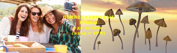 МДПВ Абинск