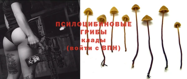 2c-b Абаза