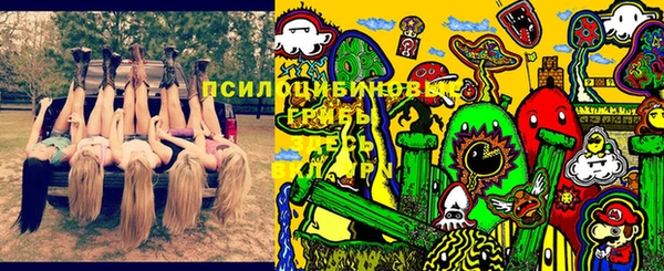 молекула духа Нязепетровск