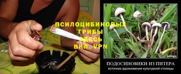 молекула духа Нязепетровск