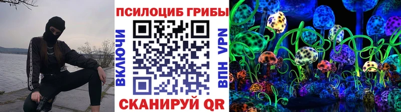 OMG как зайти  Партизанск  Псилоцибиновые грибы мухоморы 