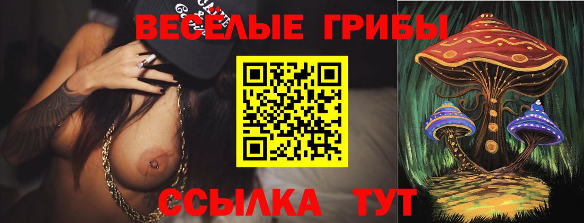 Партизанск  Псилоцибиновые грибы MAGIC MUSHROOMS  Вход с VPN 
