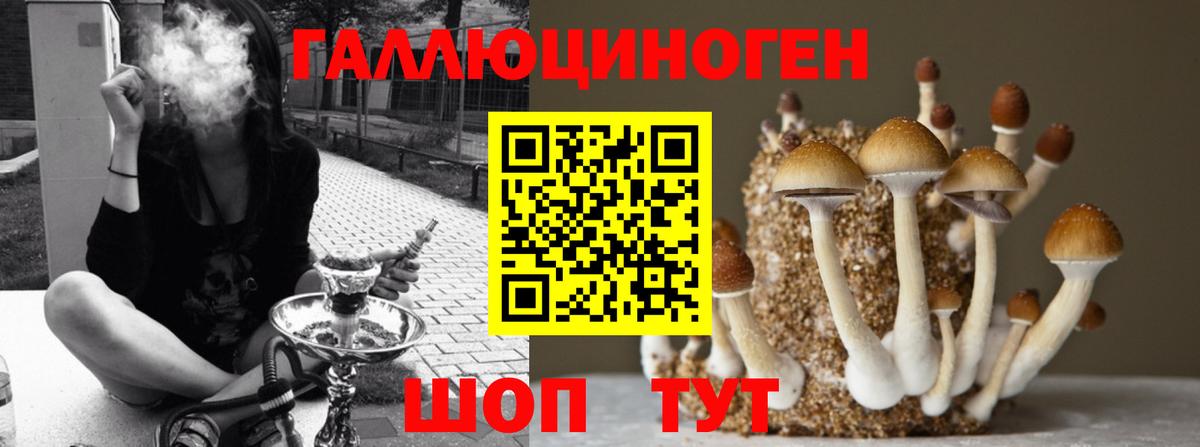 Галлюциногенные грибы Magic Shrooms Партизанск